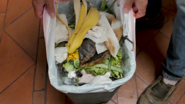 Professional Junk Removal Services in Logansport, LA